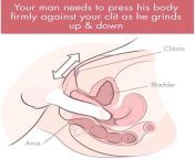 grinding on clitoris cross section illustration 1.jpg from clitorse and gril sexnd