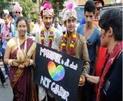 hindu gay marriage gents jpegw584 from kerala muslim and hindu lesbian