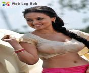 sana khan hot navel and boobs showing in transparent blouse web log hub.jpg from sana khan hot big boobs and nipple