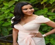 actress priya anand stills at lkg movie press meet 28329.jpg from tamil actress priya anand nude and naked without dress