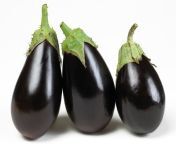 eggplants large.jpg from brinjal sex b