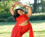 anushka shetty actress.jpg from tamil actress anushka shetty hot
