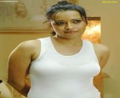 actress reema sen hot photos saree wallpapers download 01.jpg from reema sen sexy big boobs