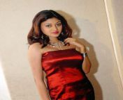 47989501oviya latest photos 28729.jpg from tamil actress oviya hot sex video song downloadian saree wala pregnant