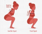 back squat vs front squat muscles worked diagram illustration.jpg from squats 2 jpg