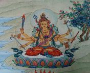 buddha weekly 12 tara giver of all prosperity kalyana da tara mangaloka tara 21 taras thankha by angeli lhadripa shkonda buddhism.jpg from cÃÂ¼neyt arkÃÂ±n tarÃÂ±yor