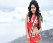 actress amala bollywood indian wallpaper preview.jpg from red light teluguindean hinde naika pritizenta sexy sexy xxx pho