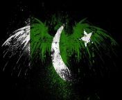 flags flag of pakistan eagle flag wallpaper preview.jpg from downlds pakistan