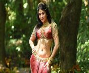tamil actress shruti haasan women s red and beige traditional dress wallpaper preview.jpg from tamil actress sridevi xxx indian rain fucking videos massage style