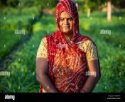 portrait of traditional indian women wearing saree standing in green field village female in agriculture land daytime 2c8f477.jpg from desi village women saree