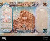 saudi arabia 20 riyals banknote the saudi riyal is the currency of saudi arabia selective focus of saudi kingdom twenty riyals cash 2f54jyh.jpg from hyd పుకుsex imagesn saudi