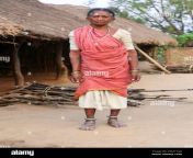 tribal old woman in her traditional outfit at masaguda village srikakulam district andhra pradesh india savara tribe 2fm11ad.jpg from yavatmal taluka pusad sexy video aunty in