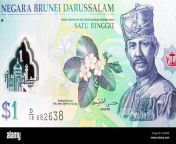 1 ringgitdollar polymer banknote bank of brunei darussalam closeup bill fragment shows simpor bini dillenia suffruticosa sultan hassan al bolkia 2h2k896.jpg from bini brunei