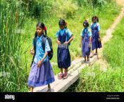 group of girl kids going to school by balancingon bridge made up of electric polls at rural india concept of safety education and aspiration 2j7mdfx.jpg from indian desi village schools outdoor