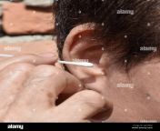 asian old man cleaning his earwax with cotton earpick 2j81fkm.jpg from old man waxy behind com video new