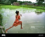 a little remote village girl jump in the village pond with her pet duck at the remote village of sundarbanwest bengal in india 2jnnpg4.jpg from मराठी संभाशन सहीत झवाझवी village girl sex