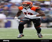 cincinnati bengals wide receiver mohamed sanu 12 in action during the second half of an nfl football game against the xxx in baltimore sunday sept 27 2015 ap photopatrick semansky 2n1anx6.jpg from sanu xxx