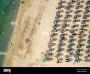 aerial view sunbeds and umbrellas lined up at platja de santa pon 2rwxbbk.jpg from Ãƒâ€Ã‚Â¯up
