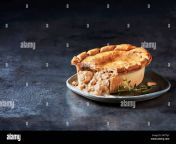 a mouthwatering chicken pot pie served on a rustic plate garnished with fresh herbs 2wtt6jy.jpg from papa beyti xxx