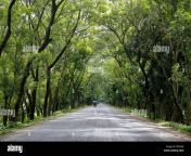 the goalanda faridpur highway at goalanda in faridpur bangladesh prk3a9.jpg from www bangladesh faridpur hindu boudi sex girl ঢাকা বিশ্ববিদ্যলয কলেজের মেযে দের xxxংলাদেশী