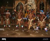 traditional zulu dancing at shakaland zulu cultural village eshowe kwazulu natal south africa w7mj6m.jpg from zulu porno dança sexual cultural