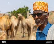 somali man in the camel market woqooyi galbeed region hargeisa somaliland ww71cc.jpg from somali germany man hargeisa