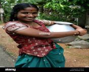 young indian lady carrying a metal pitcher of water kerela india atx61p.jpg from indian aunty pitching