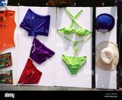 bikini hat bra underwear garments display shop window goa india asia bfnmxc.jpg from search photos inadina undaerwaer