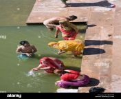 hindu pilgrims bathing in the pushkar lake rajasthan india bj26tb.jpg from bihari bathing in bathroom woman fuck saree outdoor