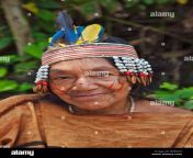 peru an old matsigenka indian woman the small matsigenka indian tribe bp0kdx.jpg from indian village breast check up by doctor