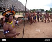 xingu indians in the amazone brazil c8rpb2.jpg from suku zingu