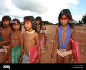 school for the xingu indians in the amazone brazil c8rwxm.jpg from little xingu