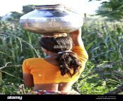 indian village girl carrying water from the well in a silver metal cb9g6k.jpg from indian desi villagers graun
