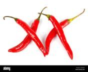 four shiny red chillies in shape of xx eb2mh3.jpg from img chili xx