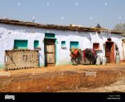 typical houses in an indian tribal village kalpi rajasthan india egj9mj.jpg from marwadi village local