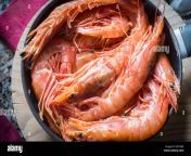king prawns on a frying pan em1gb5.jpg from w w w porwon com