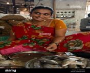 indische frau verkaufen fische am markt in mumbai indien t9wt68.jpg from indian kolekata sexy mase aunty big dood open