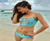 taapsee pannu body 721020 jpeg from tapsee pannu new fake nud