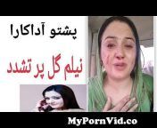 mypornvid co pashto actress neelam gull key per tashadod 124124pakistani pashto actress neelam gull 2018 preview hqdefault.jpg from pakistani pashto film actress nilam muner xxx sex videos