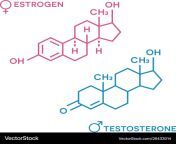 estrogen and testosterone hormones symbol sex vector 26433014.jpg from hormones jpg