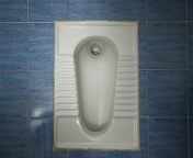 1109282333 h 1024x700.jpg from indian toilets