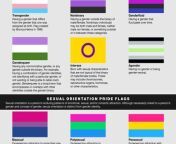 guide to lgbtq plus pride flags jpgw400h300ccrop from sex mp little