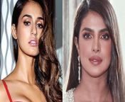 960611 disha priyanka.jpg from priyanka chopra disha patani sunny leone bollywood actresses who stole heart in sexy black saree 3 378x1024 jpg