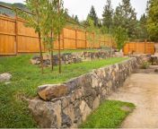 retaining wall with fruit treesx.jpg from home mistri wall flower dresing mp4 5mb