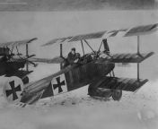 gettyimages 50650714.jpg from red baron
