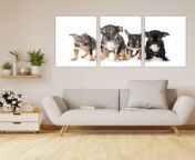 conjunto 3 quadros decorativo mdf cachorros filhotes de chihu 1571248032 79a9 300x300.jpg from quadro em mdf de cachorro da raca poodle jpg