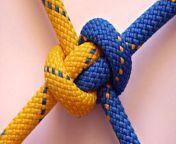 rope knot 19757 1920x1080.jpg from knot
