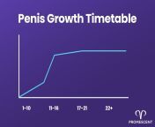 penis growth time table jpgv1645820874 from puberty penis