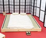 tatami mat from japan jpgv1642086025 from japanese sleep