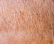 mature skin starpil 600x600 jpgv1608740207 from mature waxing